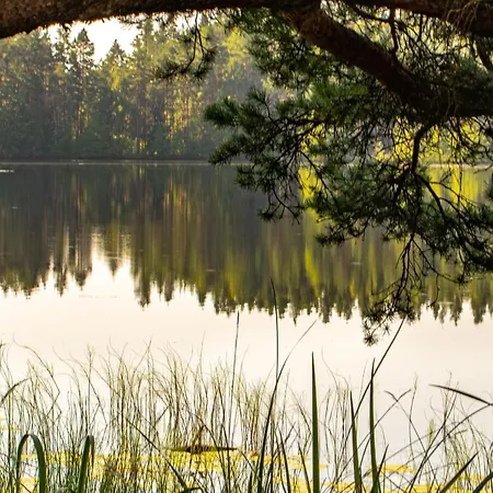 Tuba Jaerveaeaerses Puhkemajas - Saarjaerve Puhkemaja Bed & Breakfast *