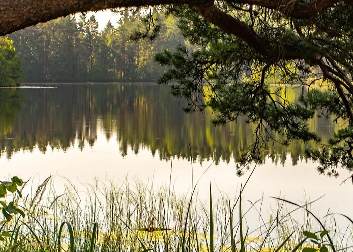 Tuba Jaerveaeaerses Puhkemajas - Saarjaerve Puhkemaja Bed & Breakfast *